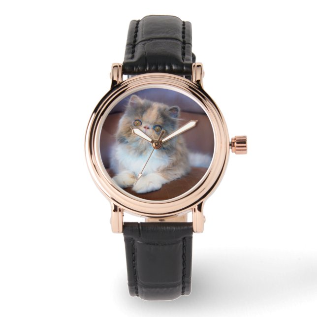 Niedliche Kleintiere | Calico Persian Kitten Armbanduhr (Vorderseite)