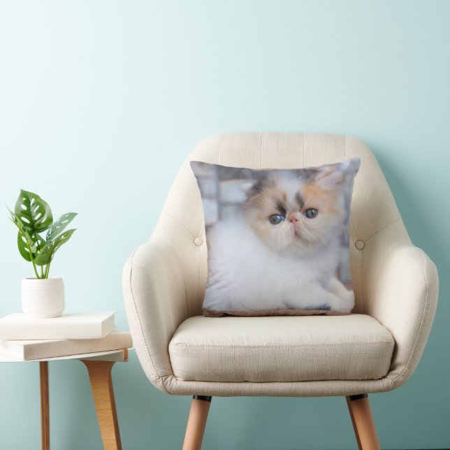 Niedliche Kleintiere | Calico Persian Kitten Kissen (Stuhl )
