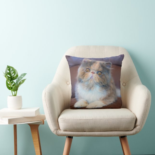 Niedliche Kleintiere | Calico Persian Kitten Kissen (Stuhl )