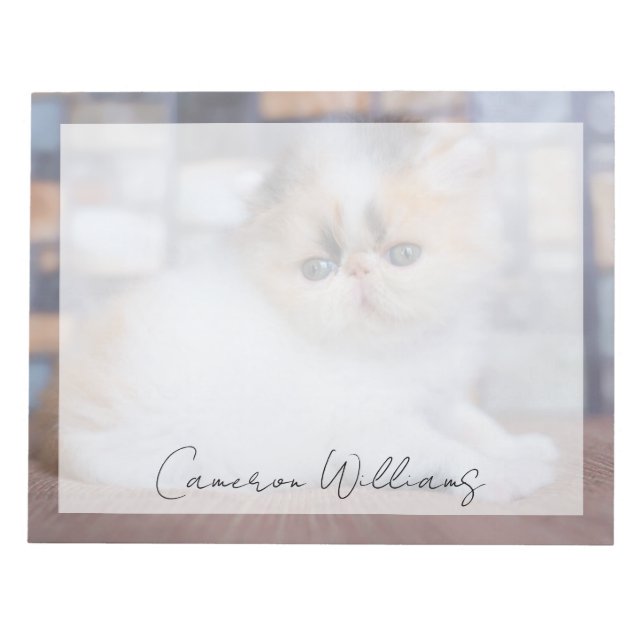 Niedliche Kleintiere | Calico Persian Kitten Notizblock (Vorderseite)