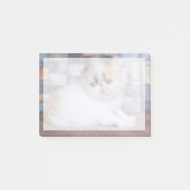 Niedliche Kleintiere | Calico Persian Kitten Post-it Klebezettel (Vorderseite)