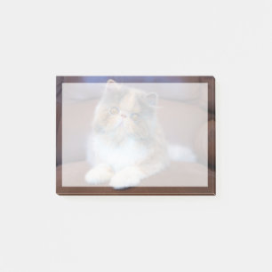 Niedliche Kleintiere Calico Persian Kitten Post-it Klebezettel