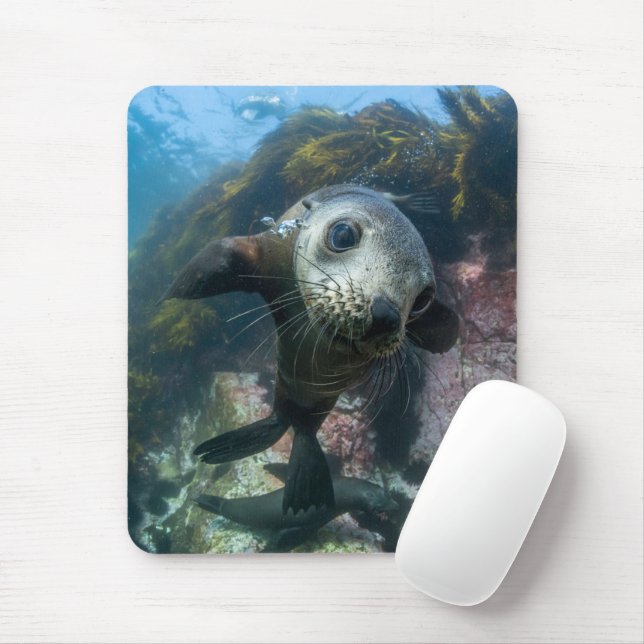 Niedliche Kleintiere | Cape-Fur-Siegel Mousepad (Mit Mouse)