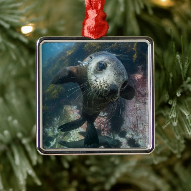 Niedliche Kleintiere | Cape-Fur-Siegel Ornament Aus Metall (Baum)