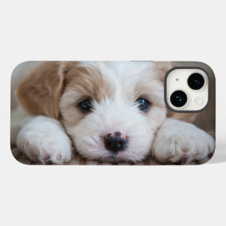 Niedliche Kleintiere | Cavashon Puppy Case-Mate iPhone 14 Hülle