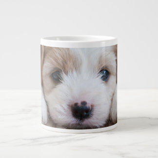 Niedliche Kleintiere | Cavashon Puppy Jumbo-Tasse