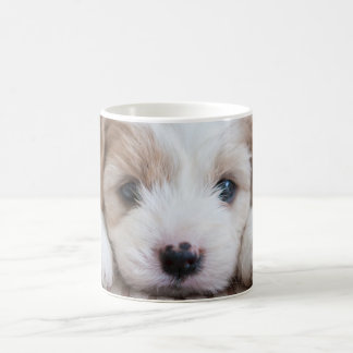 Niedliche Kleintiere | Cavashon Puppy Kaffeetasse