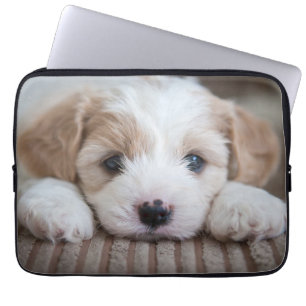 Niedliche Kleintiere Cavashon Puppy Laptopschutzhülle