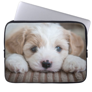 Niedliche Kleintiere | Cavashon Puppy Laptopschutzhülle