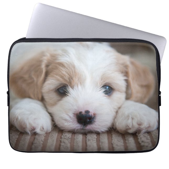 Niedliche Kleintiere | Cavashon Puppy Laptopschutzhülle (Vorderseite)