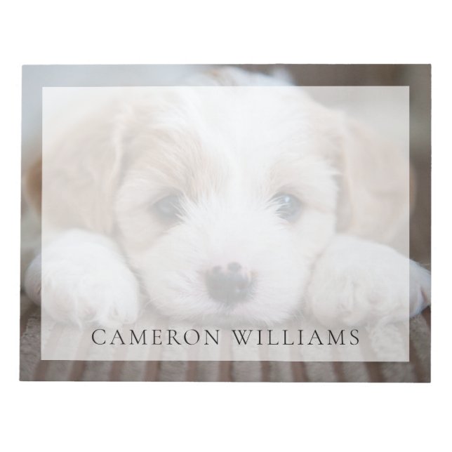 Niedliche Kleintiere | Cavashon Puppy Notizblock (Vorderseite)