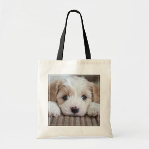 Niedliche Kleintiere   Cavashon Puppy Tragetasche