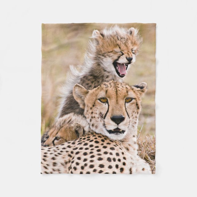 Niedliche Kleintiere | Cheetah Cat & Cub Fleecedecke (Vorderseite)