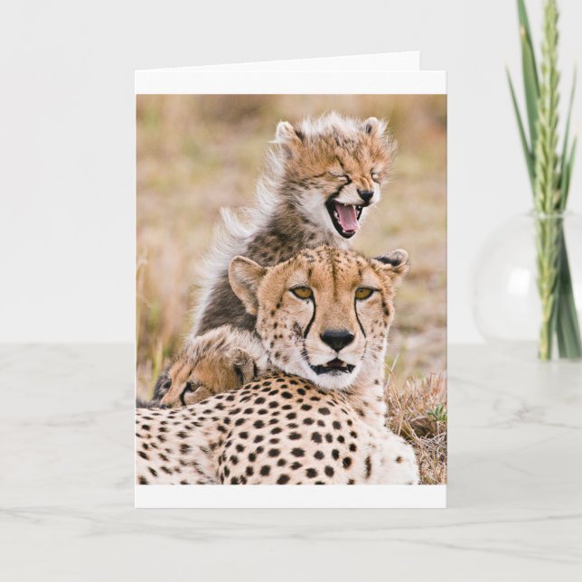 Niedliche Kleintiere | Cheetah Cat & Cub Karte (Vorderseite)