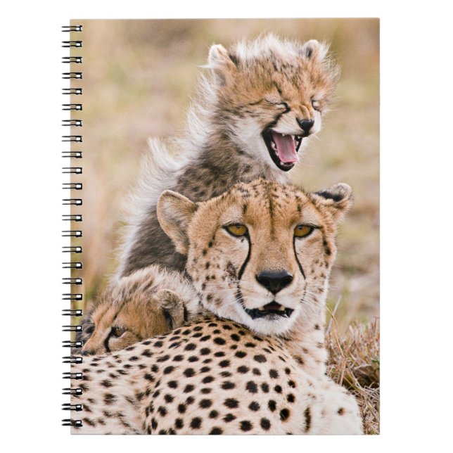 Niedliche Kleintiere | Cheetah Cat & Cub Notizblock (Vorderseite)