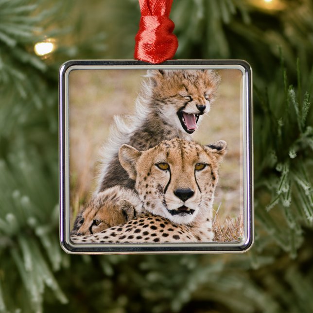 Niedliche Kleintiere | Cheetah Cat & Cub Ornament Aus Metall (Baum)