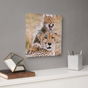 Niedliche Kleintiere Cheetah Cat & Cub Quadratische Wanduhr