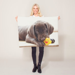Niedliche Kleintiere   Chocolate Labrador Puppy Fleecedecke