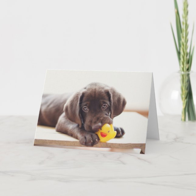 Niedliche Kleintiere | Chocolate Labrador Puppy Karte (Vorderseite)