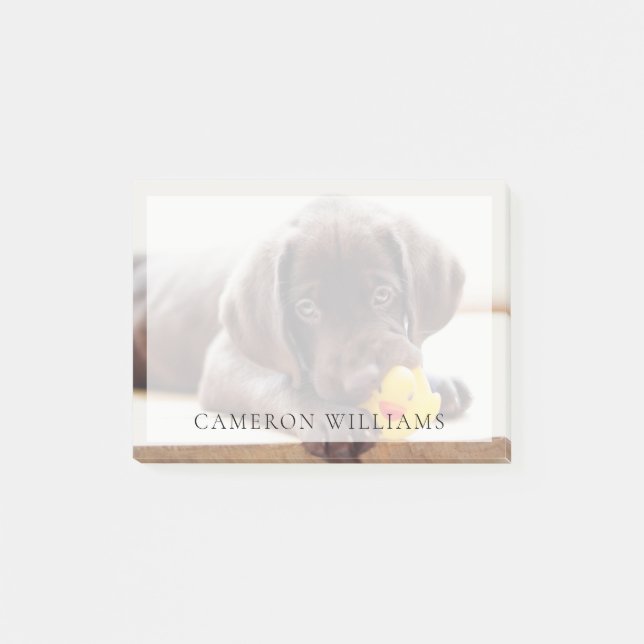 Niedliche Kleintiere | Chocolate Labrador Puppy Post-it Klebezettel (Vorderseite)
