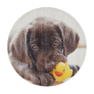 Niedliche Kleintiere Chocolate Labrador Puppy Schneidebrett