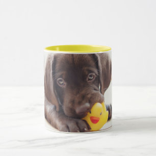 Niedliche Kleintiere Chocolate Labrador Puppy Tasse