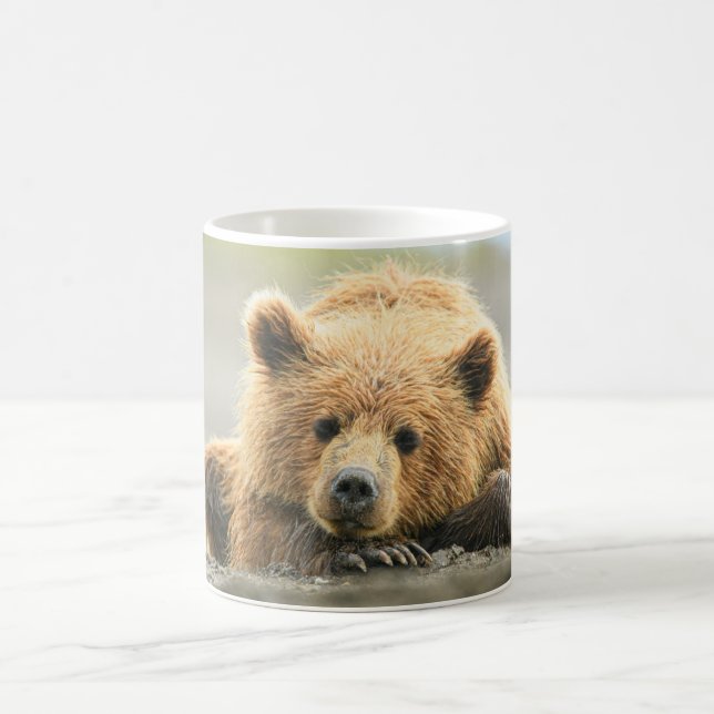 Niedliche Kleintiere | Coastal Brown Bären Cube Kaffeetasse (Mittel)