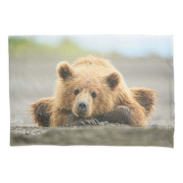 Niedliche Kleintiere | Coastal Brown Bären Cube Kissenbezug (Vorderseite)