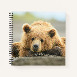 Niedliche Kleintiere Coastal Brown Bären Cube Notizbuch