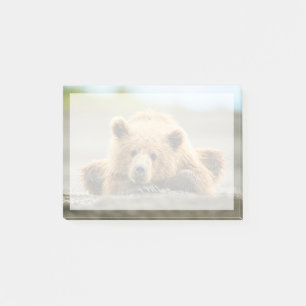 Niedliche Kleintiere Coastal Brown Bären Cube Post-it Klebezettel