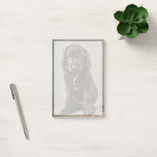 Niedliche Kleintiere Cockapoo Welpe Post-it Klebezettel