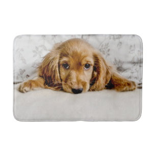 Niedliche Kleintiere   Cocker Spaniel Puppy Badematte