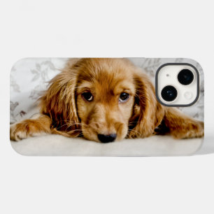 Niedliche Kleintiere Cocker Spaniel Puppy Case-Mate iPhone 14 Hülle