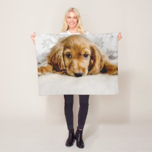 Niedliche Kleintiere   Cocker Spaniel Puppy Fleecedecke