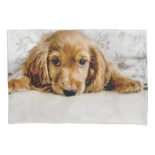 Niedliche Kleintiere   Cocker Spaniel Puppy Kissenbezug