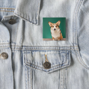Niedliche Kleintiere   Corgi auf Aquamarin Button