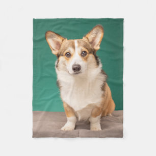Niedliche Kleintiere Corgi auf Aquamarin Fleecedecke