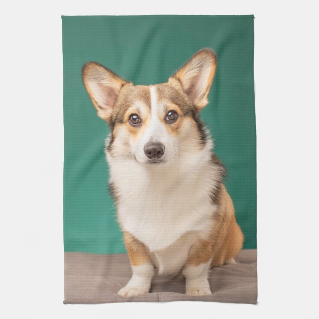 Niedliche Kleintiere | Corgi auf Aquamarin Geschirrtuch (Vertikal)