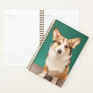 Niedliche Kleintiere Corgi auf Aquamarin Planer