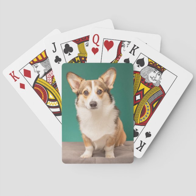 Niedliche Kleintiere | Corgi auf Aquamarin Spielkarten (Rückseite)