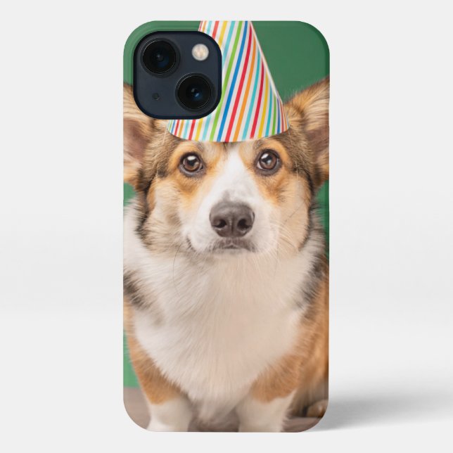 Niedliche Kleintiere | Corgi Birthday Welppy iPhone Hülle (Rückseite)