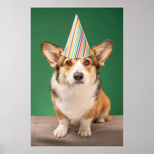 Niedliche Kleintiere | Corgi Birthday Welppy Poster (Vorne)