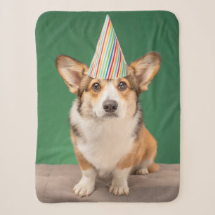Niedliche Kleintiere   Corgi Birthday Welppy Sherpadecke