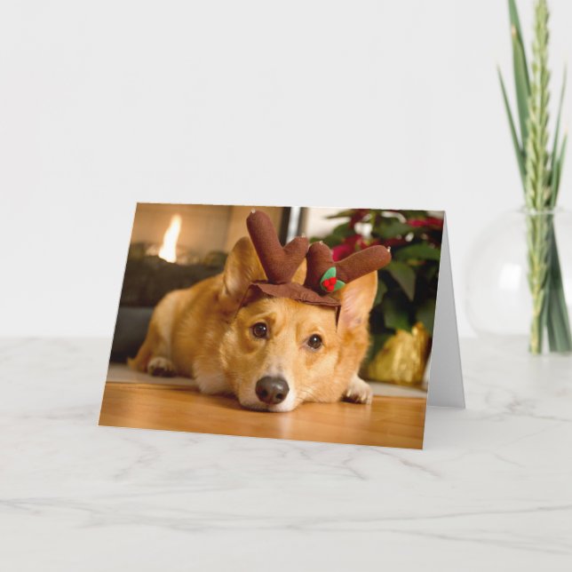 Niedliche Kleintiere | Corgi Christmas Reindeer Karte (Vorderseite)