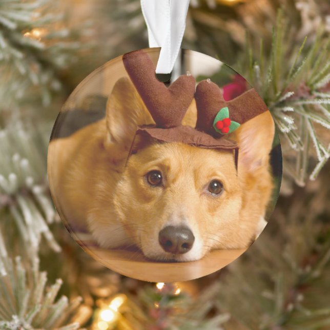 Niedliche Kleintiere | Corgi Christmas Reindeer Ornament (Baum)