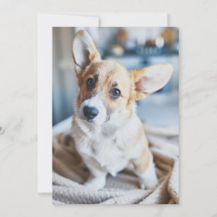 Niedliche Kleintiere Corgi Head Tilt Dankeskarte