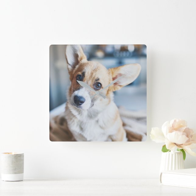 Niedliche Kleintiere | Corgi Head Tilt Quadratische Wanduhr (Zuhause)