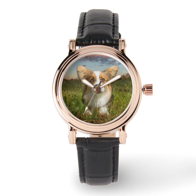 Niedliche Kleintiere | Corgi in Cloudy Yard Armbanduhr (Vorderseite)