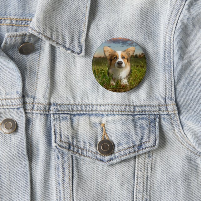 Niedliche Kleintiere | Corgi in Cloudy Yard Button (Beispiel)