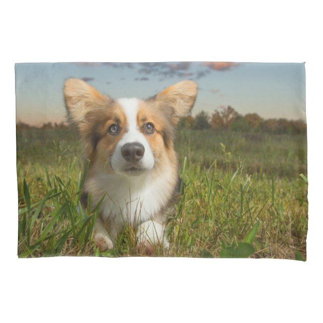 Niedliche Kleintiere | Corgi in Cloudy Yard Kissenbezug (Vorderseite)